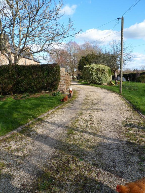 Farmhouse In An Amazing Private Park Hostal Vannes Exterior foto