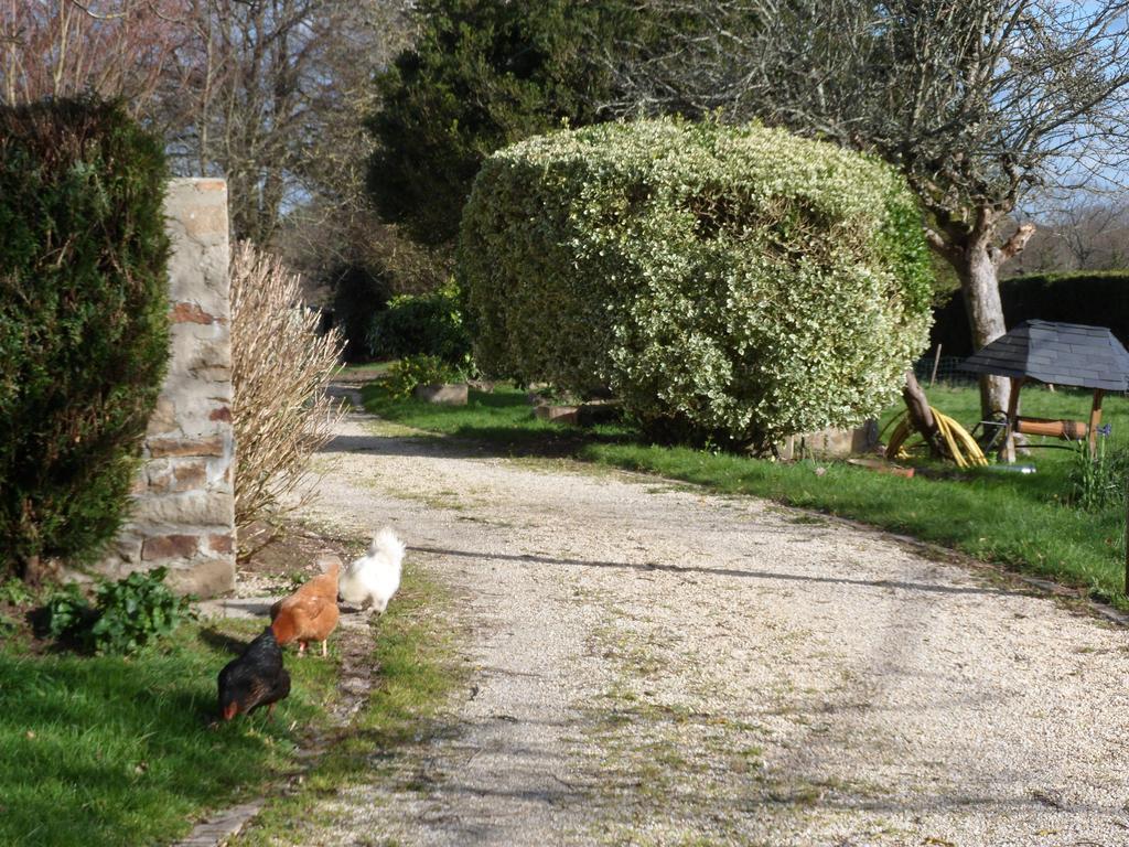 Farmhouse In An Amazing Private Park Hostal Vannes Exterior foto